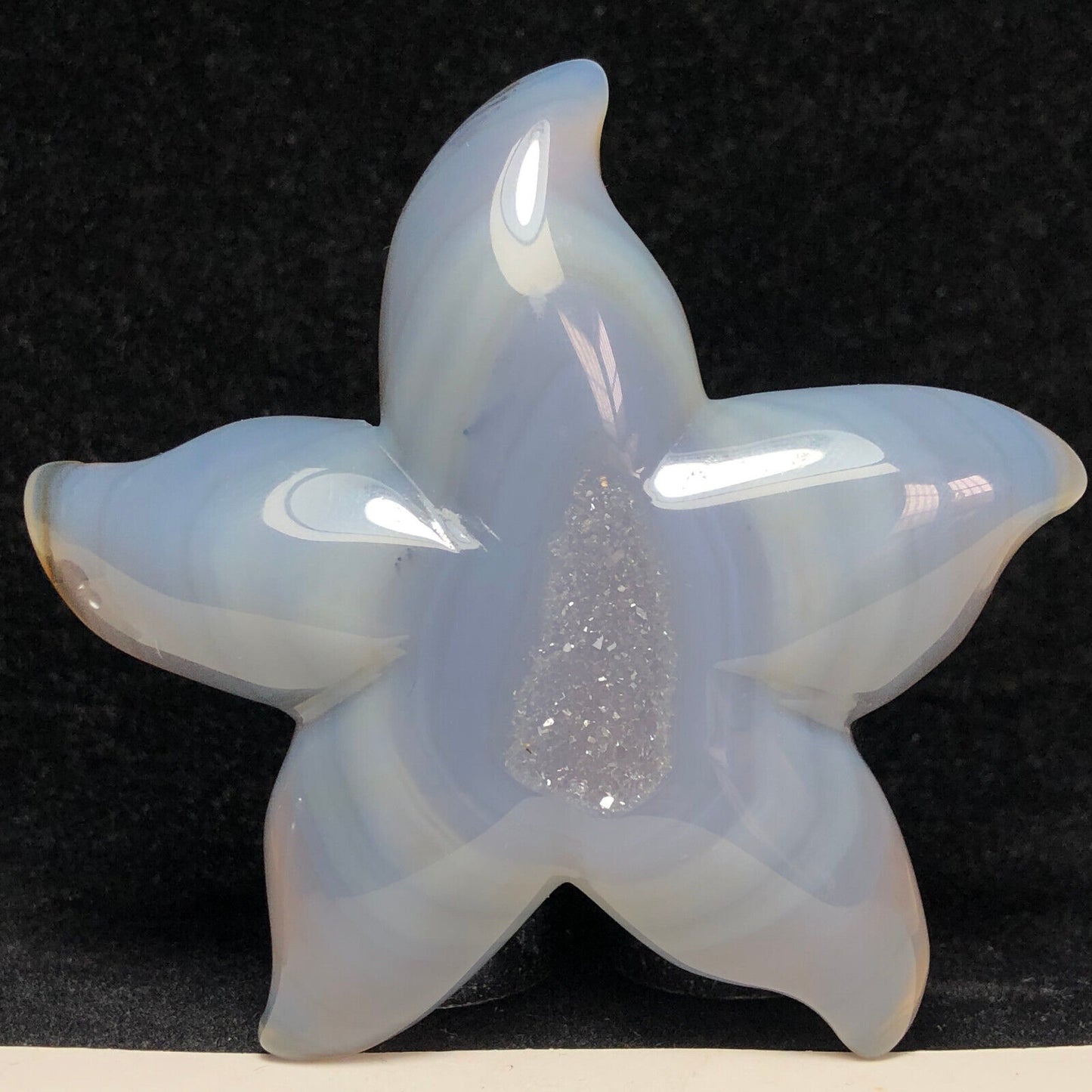Unusual Agate Starfish with Solid Crystals, 11mm Tall, 66g (Clear)