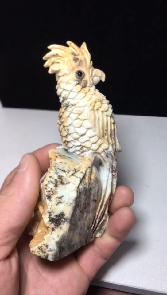 Stunning Amazonite Parrot, 127mm Tall, 368g (Blue, Yelow)