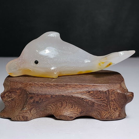 Unusual Agate Dolphin with Solid Crystals, 34mm Tall, 99g (White, Clear, Yellow)