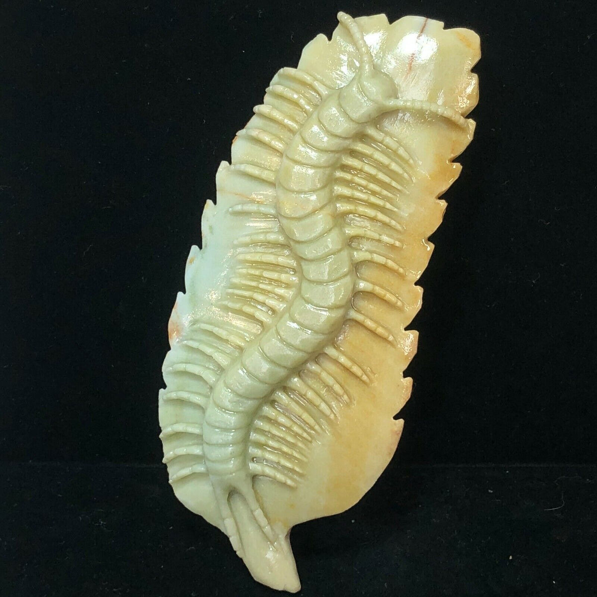 Rare Amazonite Centipede, 19mm Tall, 95g (Yellow)