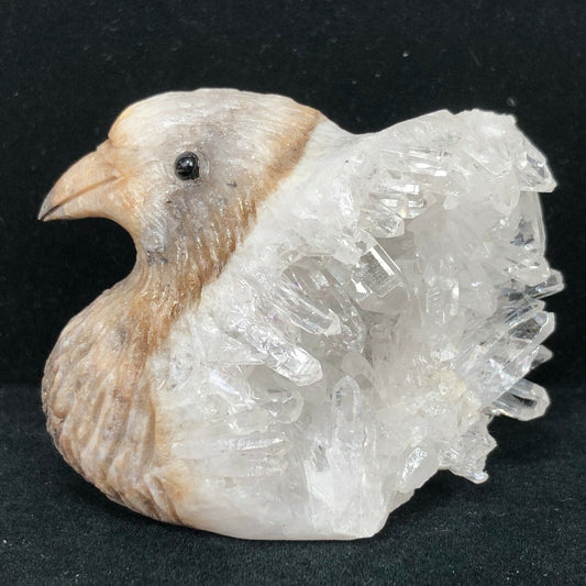 Unusual Stone Pigeon with Quartz Crystals, 26mm Tall, 125g (White, Clear, Brown)