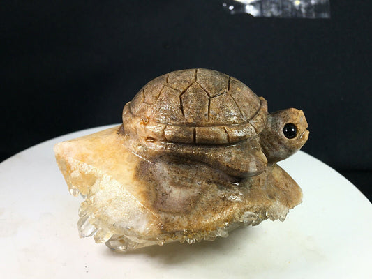 Unusual Stone Sea Turtle with Quartz Crystals, 55mm Tall, 133g (Brown, Orange, White)