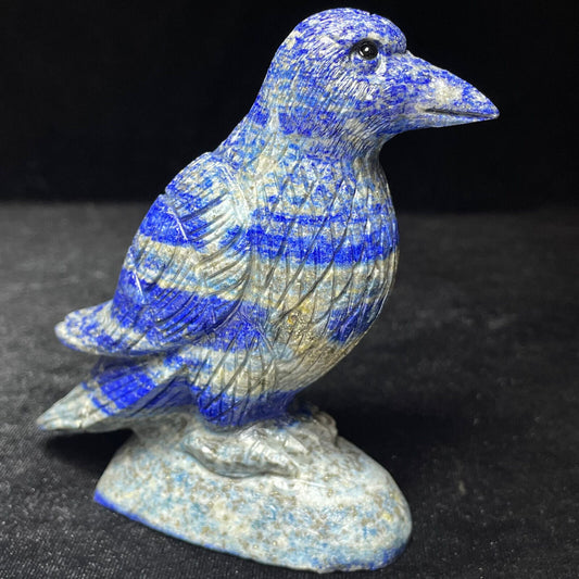 Stunning Lapis Lazuli Crow with Pyrite Crystals, 88mm Tall, 308g (Gray, Blue, Black)