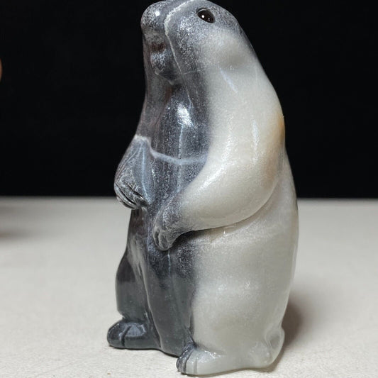 Unusual Taiji Stone Groundhog, 50mm Tall, 65g (Black, White)