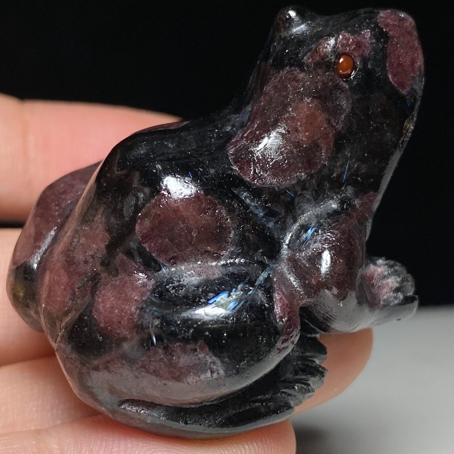 Rare Garnet in Astrophyllite Big Frog, 32mm Tall, 63g (Red, Black, Purple)