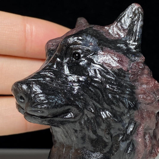 Unusual Garnet in Astrophyllite Wolf with Quartz Inclusion Crystals, 66mm Tall, 199g (Red, Black)