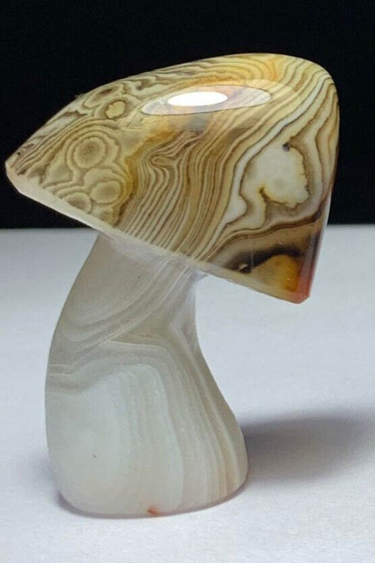 Common Banded Agate Mushroom with Solid Crystals, 49mm Tall, 36g (Yellow, Brown, White)