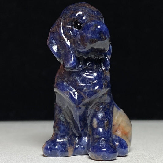 Rare Sodalite Dog, 42mm Tall, 30g (Blue, White, Yellow)