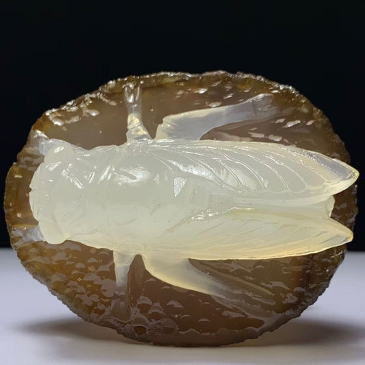 Precious Fire Agate Cicada with Solid Crystals, 45mm Tall, 175g (Clear, Orange, Red)